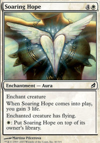 Soaring Hope|2|0|0.00