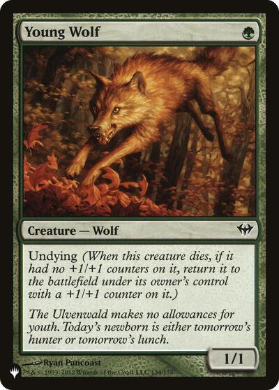 Young Wolf|2|0|0.00
