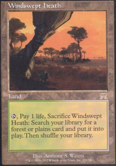 Windswept Heath (Onslaught) Light Play Foil