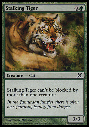 Stalking Tiger|8|0|0.00