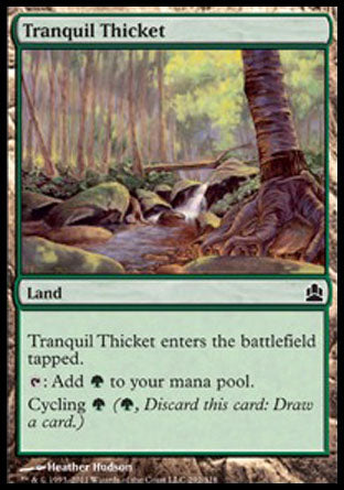 Tranquil Thicket|1|0|0.00