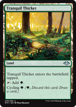 Tranquil Thicket|15|0|0.00