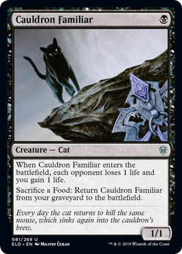 Cauldron Familiar (Throne of Eldraine) Medium Play