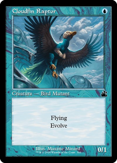 Cloudfin Raptor Retro Frame|3|0|0.00