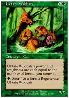 Uktabi Wildcats (7th Edition) Near Mint Foil