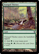 Tranquil Thicket (Duel Decks: Izzet vs Golgari) Medium Play