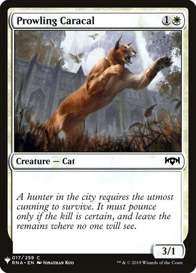 Prowling Caracal|0|0|0.00