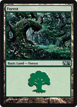Forest 249|3|0|0.00