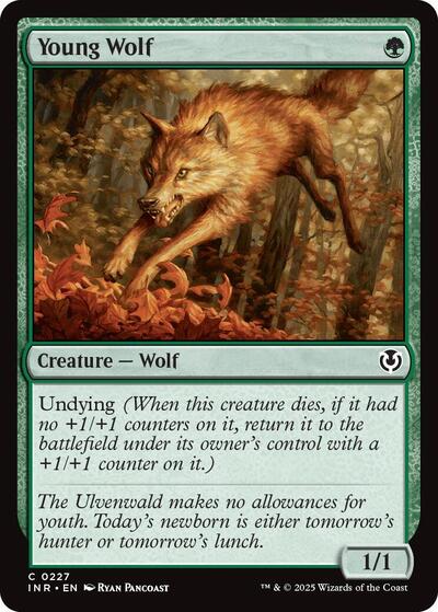 Young Wolf|5|0|0.00