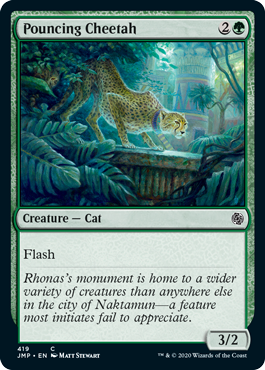Pouncing Cheetah|2|0|0.00