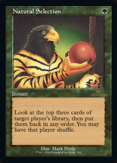 Natural Selection Retro Frame|0|0|0.00
