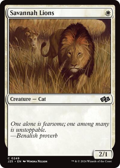 Savannah Lions (Foundations Jumpstart) Light Play