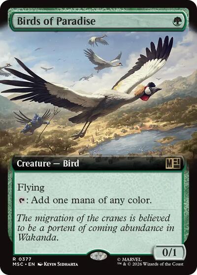 Birds of Paradise Extended Art|1|0|0.00