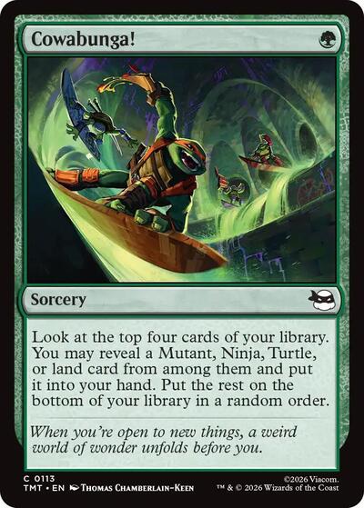 Cowabunga! (Teenage Mutant Ninja Turtles) Near Mint