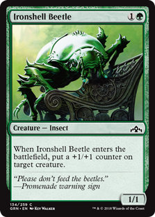 Ironshell Beetle (Guilds of Ravnica) Heavy Play Foil