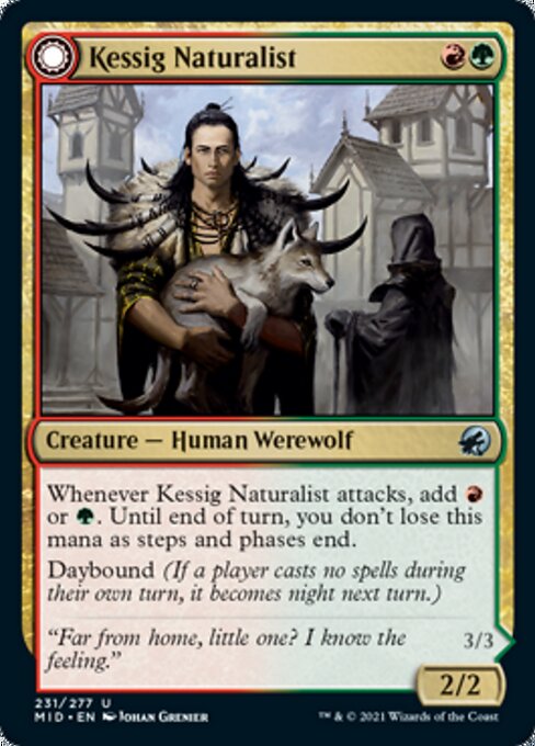 Kessig Naturalist / Lord of the Ulvenwald (Innistrad: Midnight Hunt) Light Play