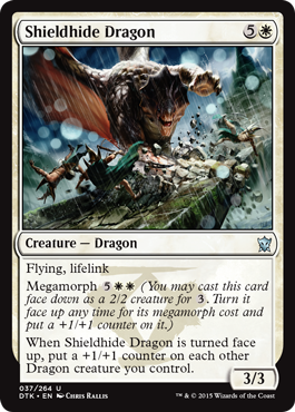 Shieldhide Dragon (Dragons of Tarkir) Medium Play