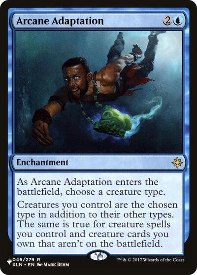 Arcane Adaptation XLN|0|0|0.00