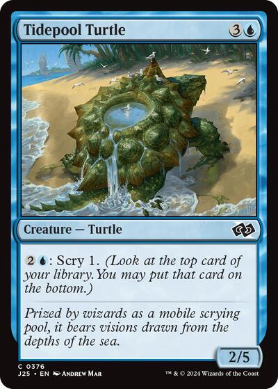 Tidepool Turtle (Foundations Jumpstart) Medium Play