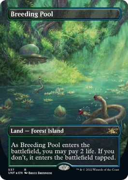 Breeding Pool (Borderless) (Galaxy Foil) (Unfinity) Light Play Foil