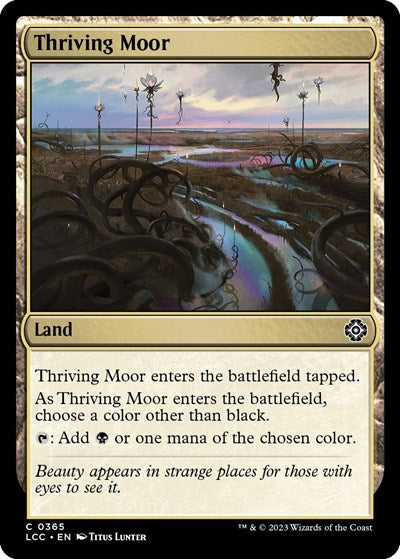 Thriving Moor|24|0|0.00