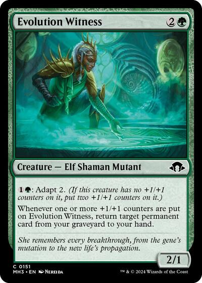 Evolution Witness (Modern Horizons 3) Medium Play Foil