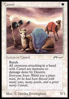 Camel (Arabian Nights) Damaged / Poor