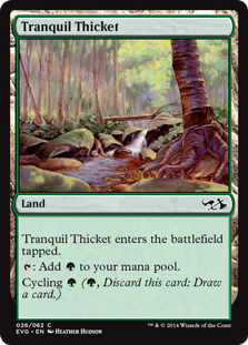 Tranquil Thicket (Duel Decks Anthology: Elves vs Goblins) Medium Play