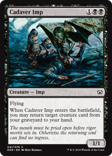 Cadaver Imp|22|0|0.00