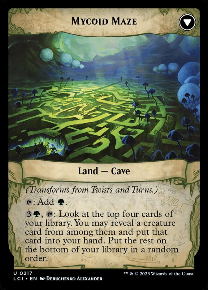Back face of Mycoid Maze