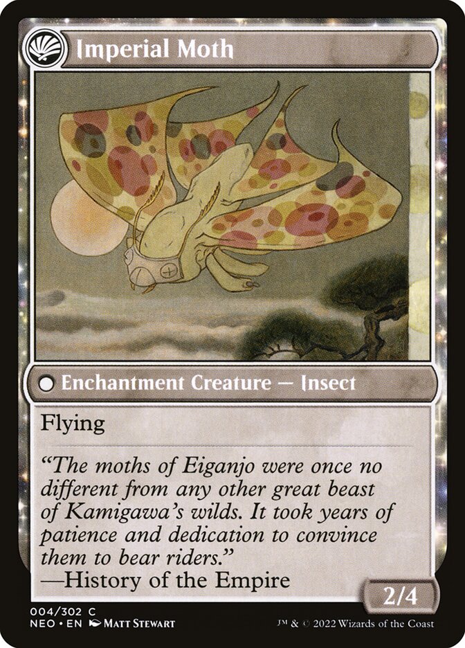 Back face of Imperial Moth