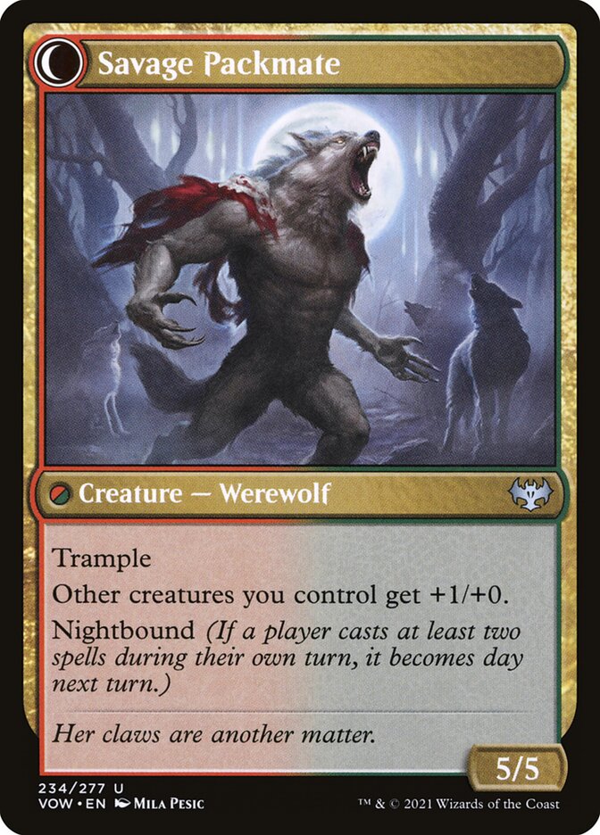 Back face of Savage Packmate
