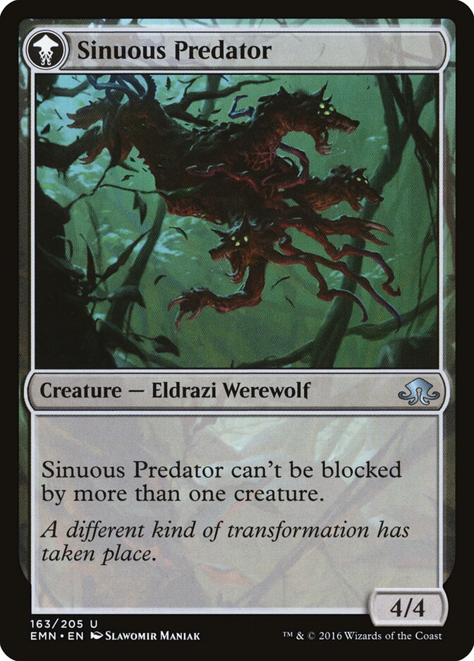 Back face of Sinuous Predator
