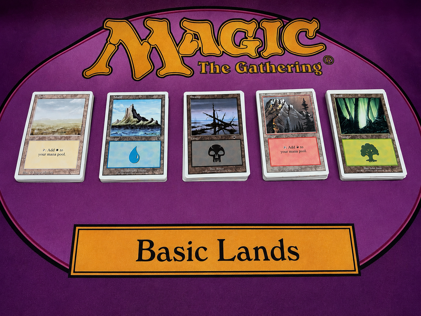 100 White Border Basic Land Collection