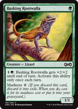 Basking Rootwalla|16|0|0.00
