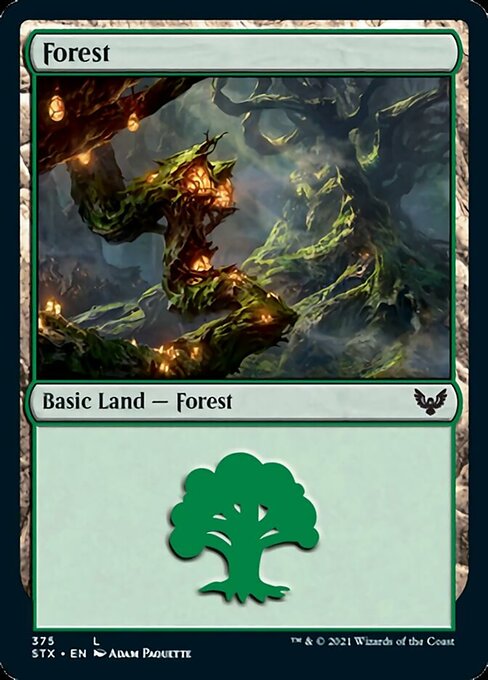 Forest 375|5|0|0.00