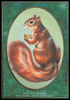 Squirrel|2|0|0.00