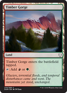 Timber Gorge (Dominaria) Light Play