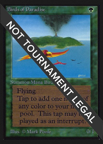 Birds of Paradise (IE) (International Edition) Near Mint