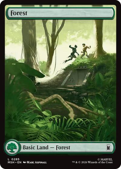 Forest  0285|12|0|0.00