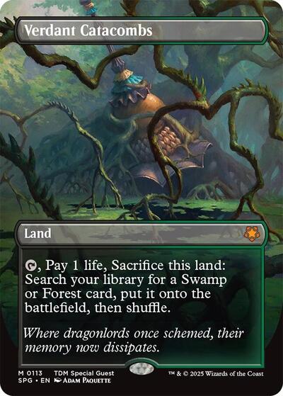 Verdant Catacombs (Borderless) (Special Guests) Light Play Foil