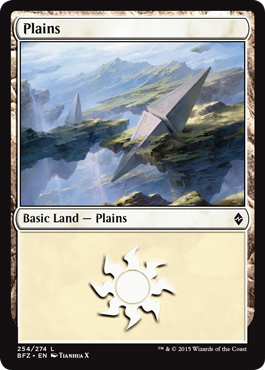 Plains (254) (Battle for Zendikar) Medium Play