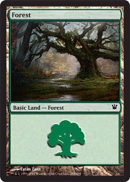Forest (264) (Innistrad) Heavy Play