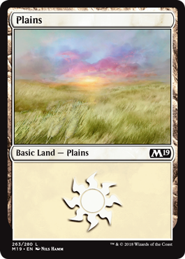 Plains (263) (Magic 2019 Core Set) Light Play Foil