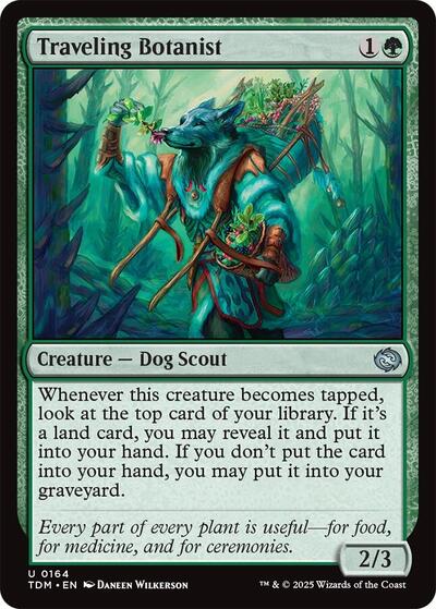 Traveling Botanist (Tarkir: Dragonstorm) Near Mint Foil