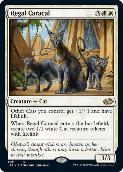 Regal Caracal|1|0|0.00