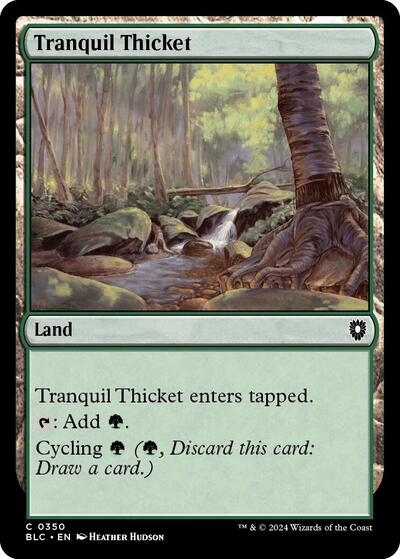 Tranquil Thicket (Commander: Bloomburrow) Light Play
