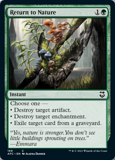 Return to Nature (Commander 2021 Forgotten Realms) Light Play