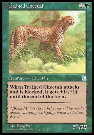 Trained Cheetah (Portal Three Kingdoms) Near Mint
