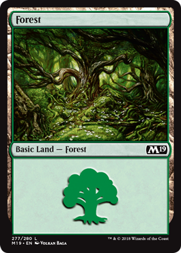 Forest (277) (Magic 2019 Core Set) Light Play